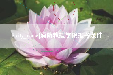 攸县消防救援学院报考条件