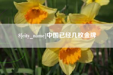 攸县中国已经几枚金牌