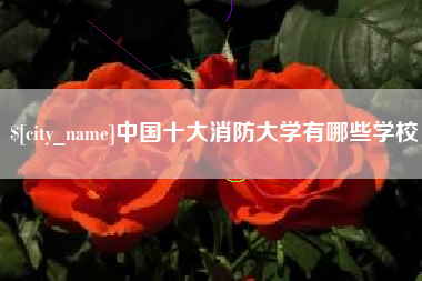 攸县中国十大消防大学有哪些学校