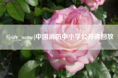 攸县中国消防中小学公开课回放