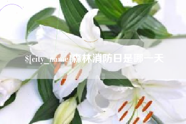 攸县森林消防日是哪一天