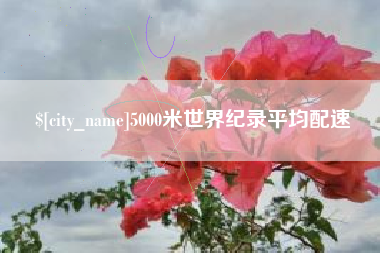 攸县5000米世界纪录平均配速