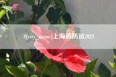 攸县上海消防员2021