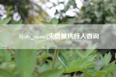 攸县失信被执行人杳询
