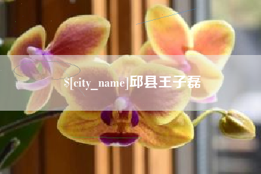 攸县邱县王子磊
