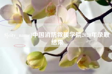 攸县中国消防救援学院2020年录取结果
