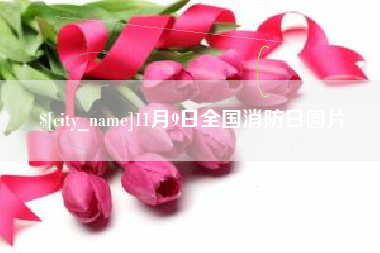 攸县11月9日全国消防日图片
