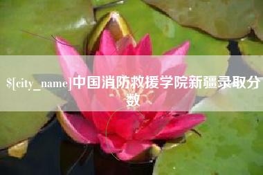 攸县中国消防救援学院新疆录取分数