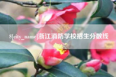 攸县浙江消防学校招生分数线