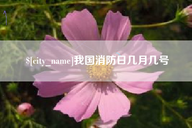 攸县我国消防日几月几号