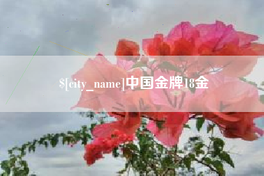 攸县中国金牌18金