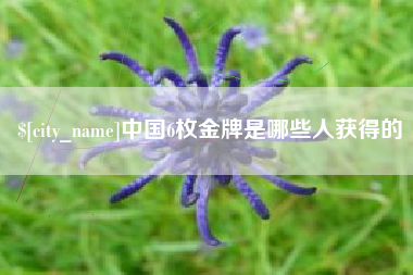 攸县中国6枚金牌是哪些人获得的