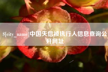 攸县中国失信被执行人信息查询公开网址