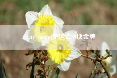 攸县奥运会39块金牌
