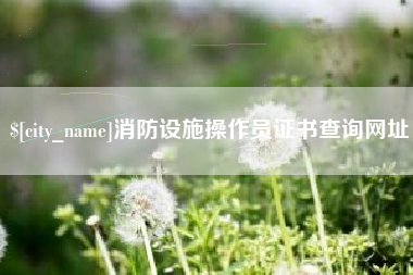 攸县消防设施操作员证书查询网址