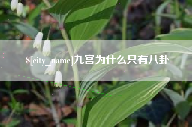 攸县九宫为什么只有八卦