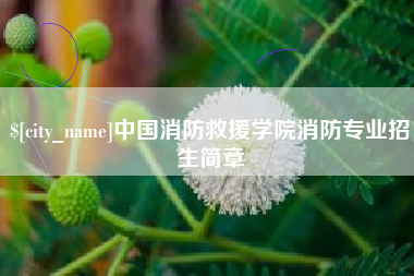 攸县中国消防救援学院消防专业招生简章