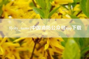 攸县中国消防公众号app下载