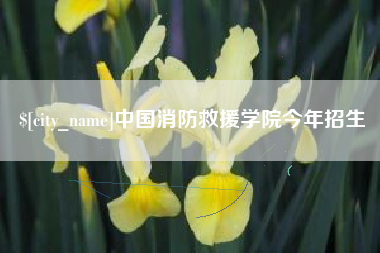 攸县中国消防救援学院今年招生