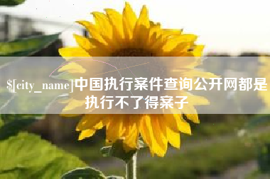 攸县中国执行案件查询公开网都是执行不了得案子