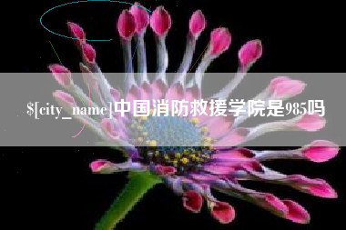 攸县中国消防救援学院是985吗