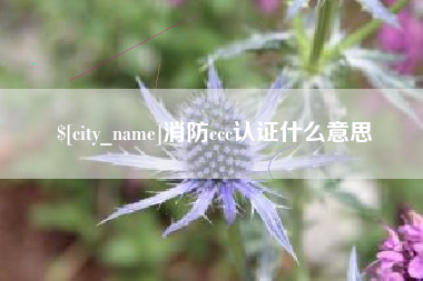 攸县消防ccc认证什么意思
