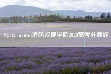 攸县消防救援学院2020高考分数线