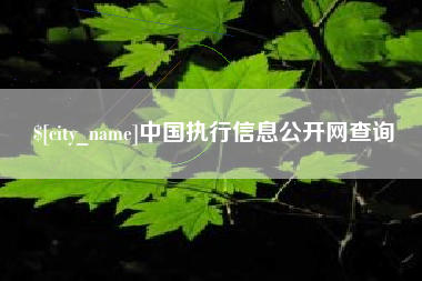 攸县中国执行信息公开网查询
