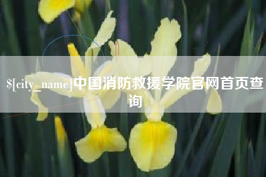 攸县中国消防救援学院官网首页查询
