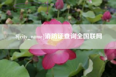 攸县消防证查询全国联网