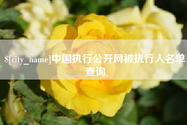 攸县中国执行公开网被执行人名单查询