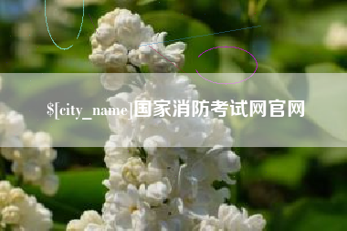 攸县国家消防考试网官网