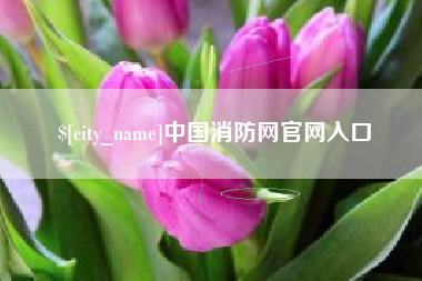 攸县中国消防网官网入口