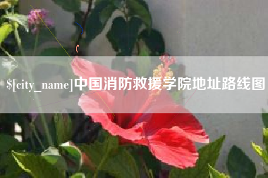 攸县中国消防救援学院地址路线图