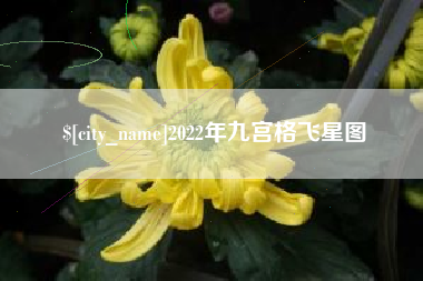 攸县2022年九宫格飞星图