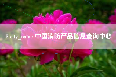 攸县中国消防产品信息查询中心