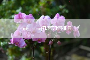 攸县九宫如何排日