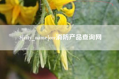 攸县ccc消防产品查询网