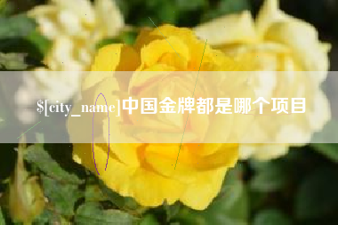 攸县中国金牌都是哪个项目
