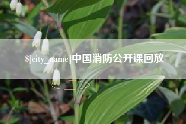 攸县中国消防公开课回放