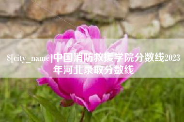 攸县中国消防救援学院分数线2023年河北录取分数线