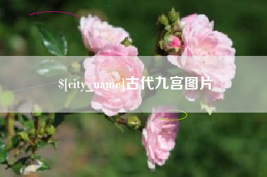 攸县古代九宫图片