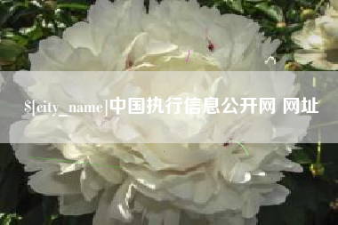 攸县中国执行信息公开网 网址