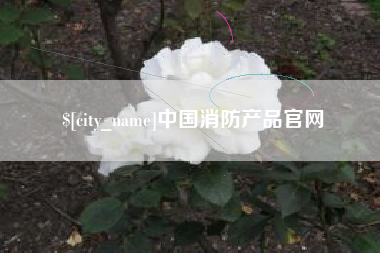 攸县中国消防产品官网