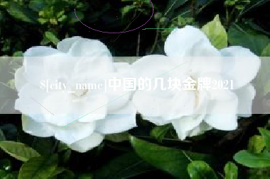 攸县中国的几块金牌2021