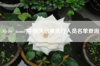 攸县中国失信被执行人员名单查询