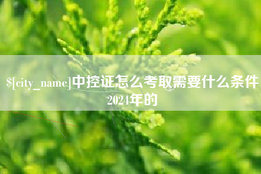 攸县中控证怎么考取需要什么条件2024年的