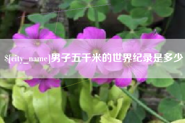 攸县男子五千米的世界纪录是多少