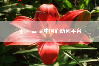 攸县中国消防网平台