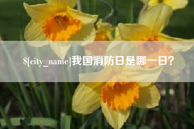攸县我国消防日是哪一日？